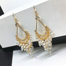 Load image into Gallery viewer, Trendy Festive Luxury Crystal Beaded Tassel Earrings