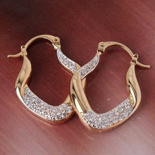 Load image into Gallery viewer, EXquisite Elegant Stylish Hoop Earrings
