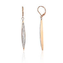 Load image into Gallery viewer, Charming Stainless Steel Drop Earrings