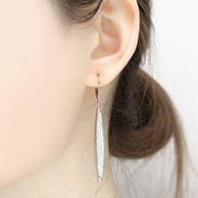 Load image into Gallery viewer, Charming Stainless Steel Drop Earrings