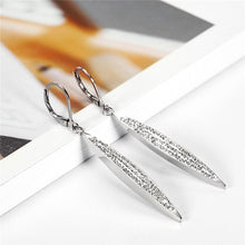 Load image into Gallery viewer, Charming Stainless Steel Drop Earrings