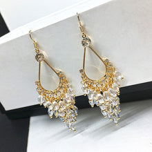 Load image into Gallery viewer, Trendy Festive Luxury Crystal Beaded Tassel Earrings
