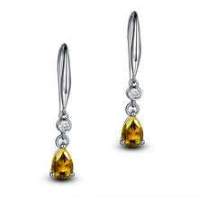 Load image into Gallery viewer, Silver 925 Elegant Simple Drop Earrings - earringsly
