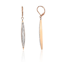Load image into Gallery viewer, Charming Stainless Steel Drop Earrings
